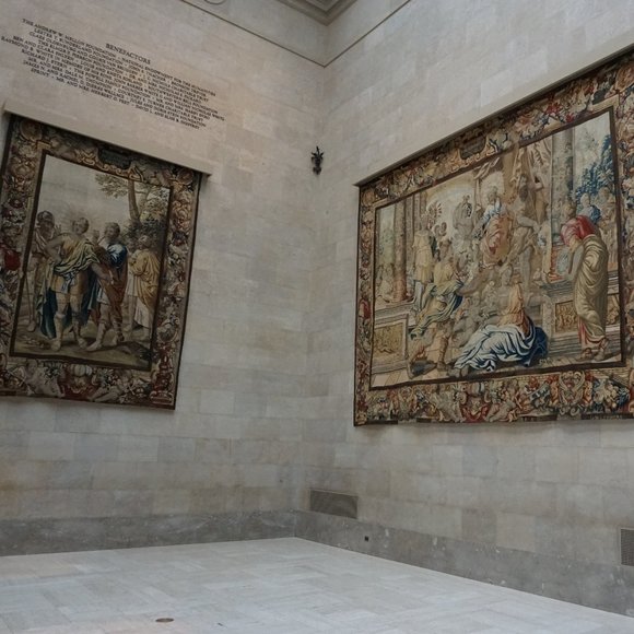 Meet your Posher, Teri - Picture 5 of 16